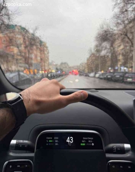 Dorogoy mujik - Qimmat erkak